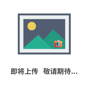 PPT/PPT-R 压力传感器